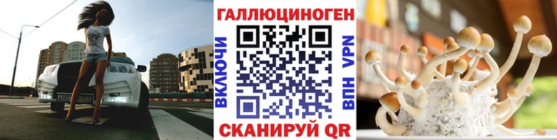 Галлюциногенные грибы Psilocybine cubensis Сочи